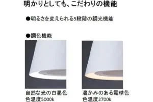 sirabee20241204Light_4