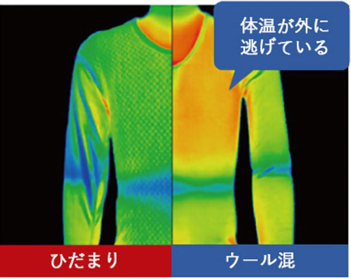 sirabee20241204hidamari4