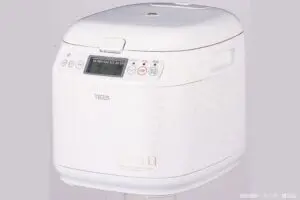 sirabee20241204tiger3