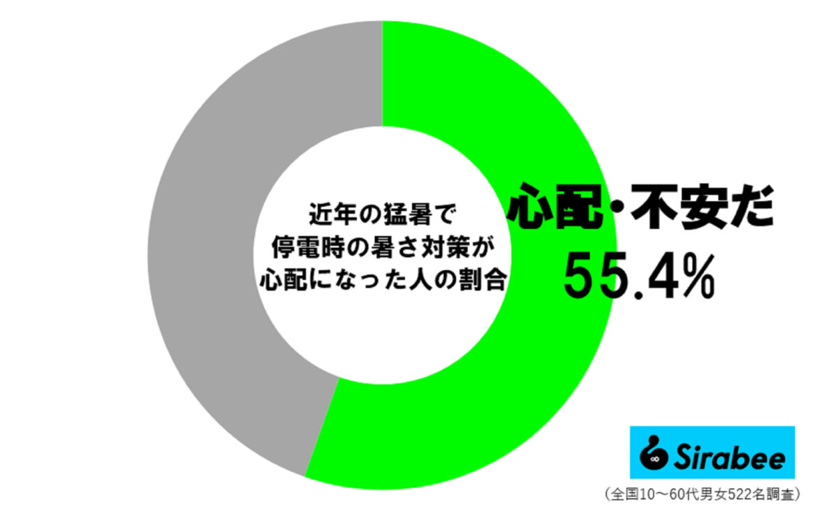 夏の停電調査