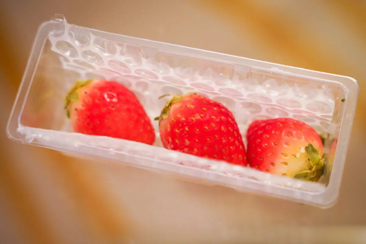 sirabee20241206twice_8