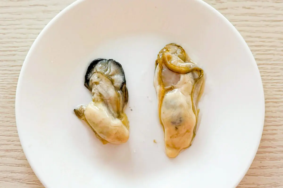 sirabee20241207kaki2