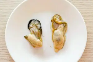 sirabee20241207kaki2