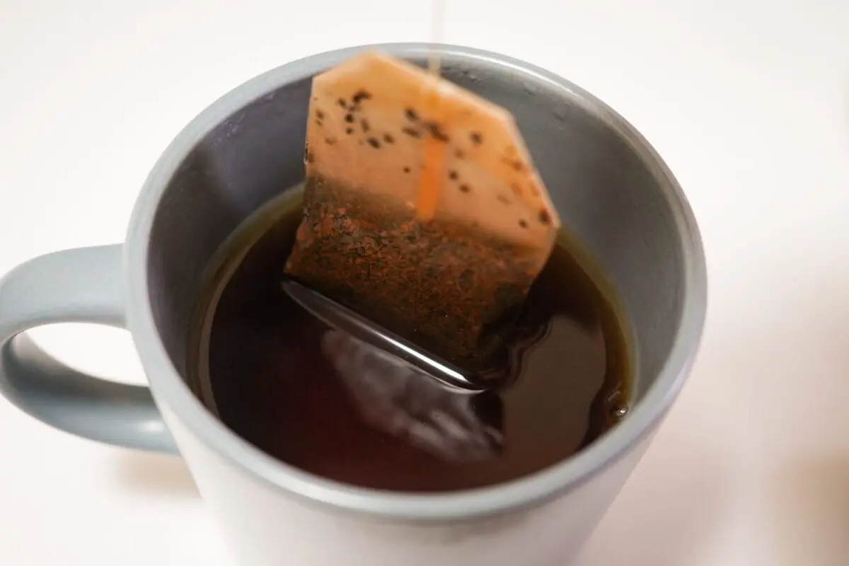 sirabee20241209tea_4