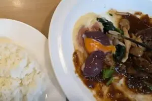 sirabee20241210gasuto4