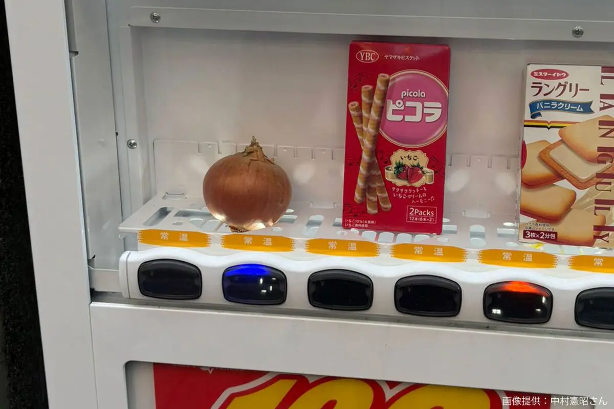 sirabee20241212onion0