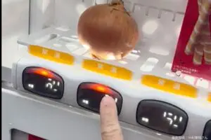 sirabee20241212onion3