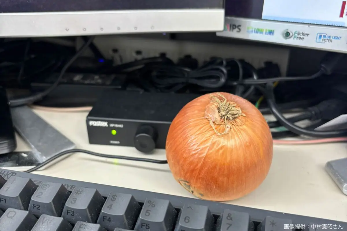 sirabee20241212onion4