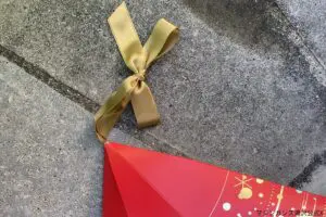 「クリスマス後に出るゴミ」で注意すべき4選 捨て方を間違えると“重大なトラブル”招く可能性も…