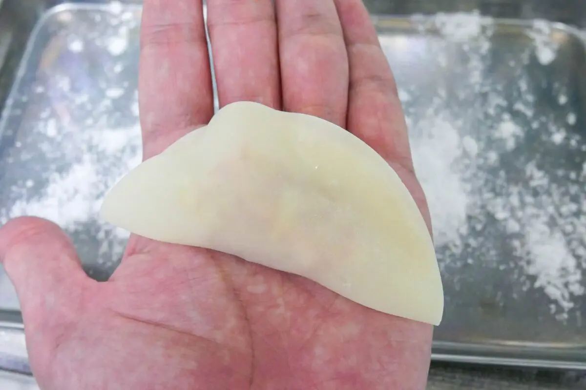 sirabee20241216gyoza2