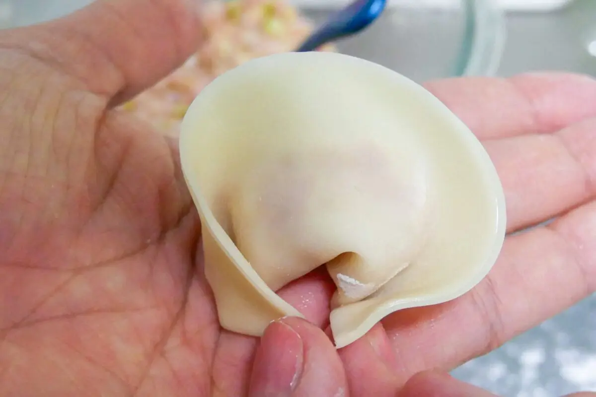 sirabee20241216gyoza3