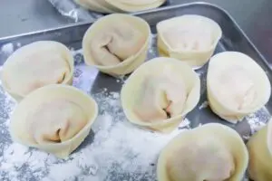 sirabee20241216gyoza4