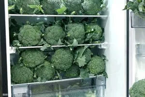 ブロッコリーの保存に適した場所、約9割が「知らなかった」 つい野菜室に入れたくなるが…