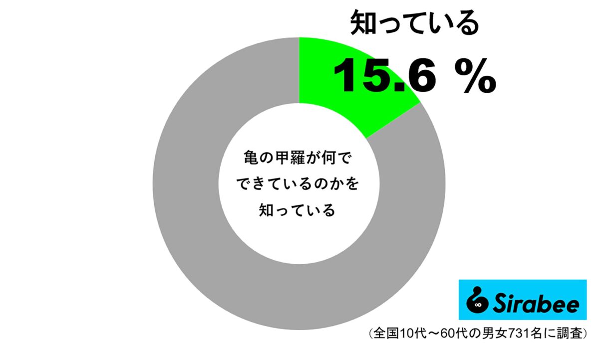 亀の甲羅が何でできているか知っている