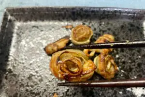 sirabee20241218burdock3