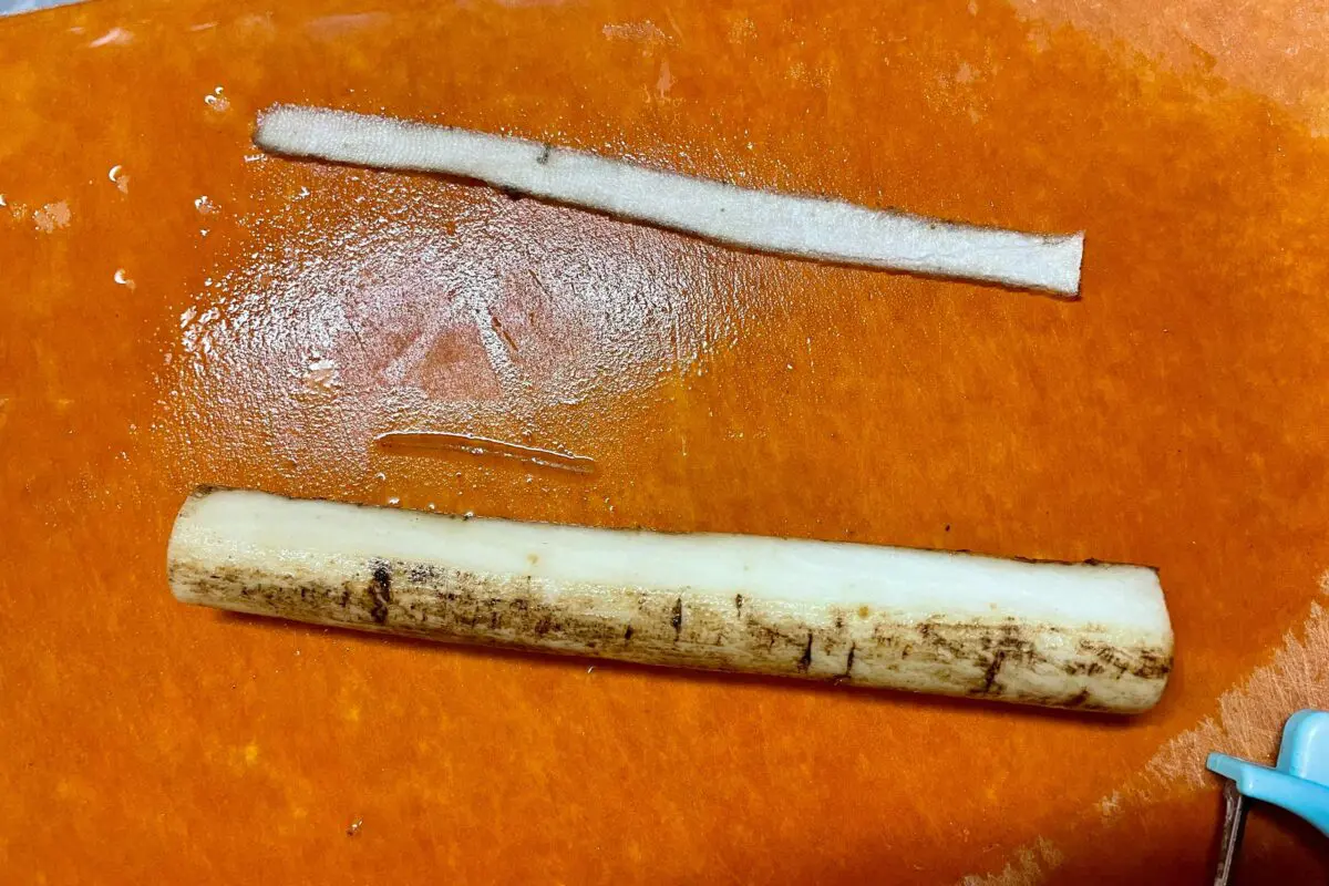 sirabee20241218burdock5