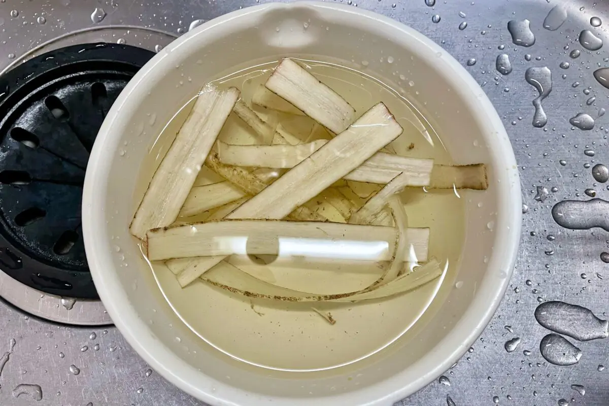 sirabee20241218burdock6