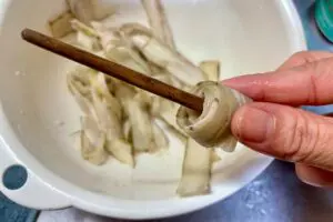 sirabee20241218burdock8