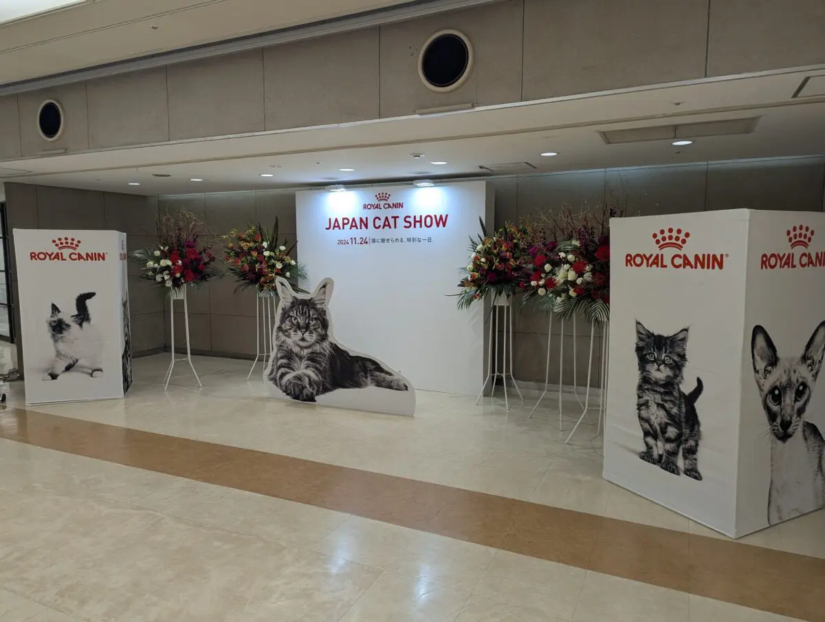 sirabee20241218catshow001