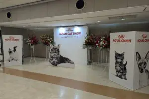 sirabee20241218catshow001