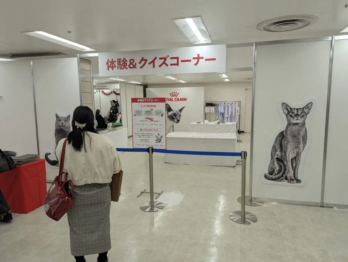 sirabee20241218catshow002