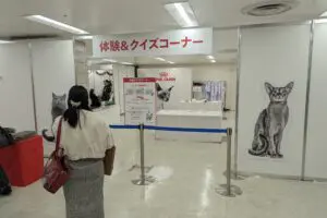 sirabee20241218catshow002