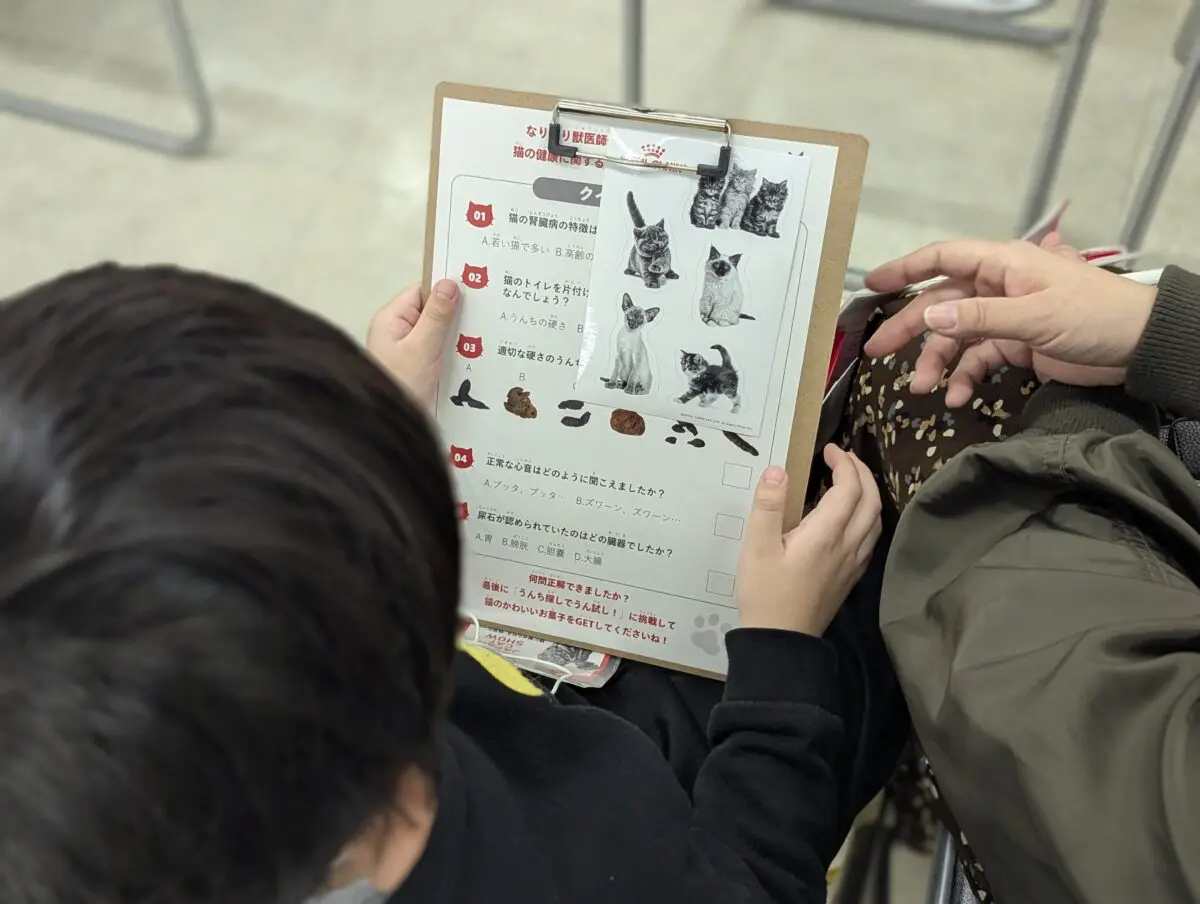 sirabee20241218catshow003