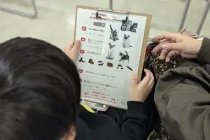 sirabee20241218catshow003