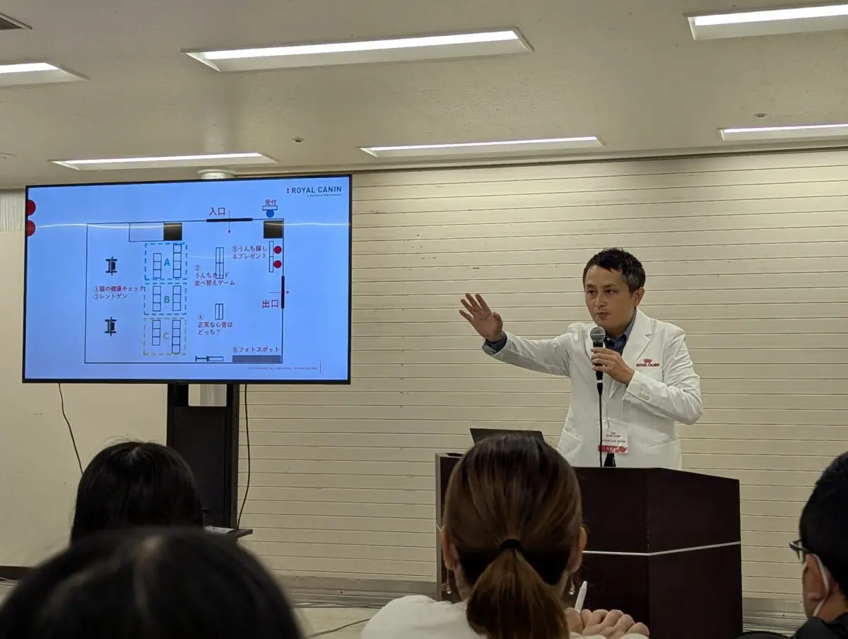 sirabee20241218catshow004