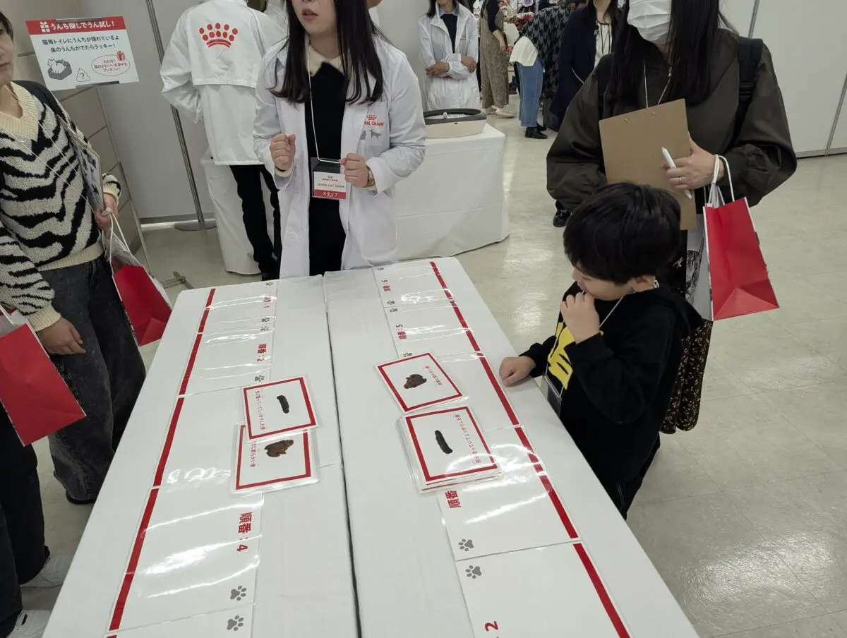 sirabee20241218catshow005