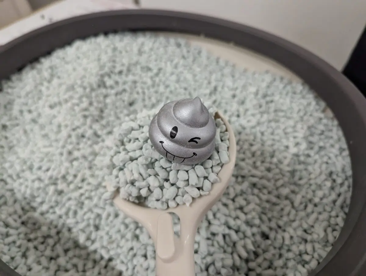 sirabee20241218catshow008