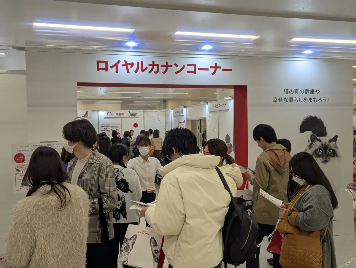 sirabee20241218catshow009