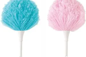 sirabee20241219osouji1