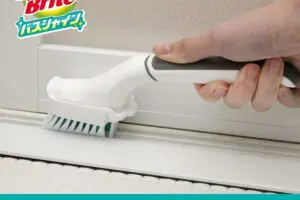 sirabee20241219osouji2