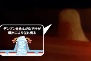 sirabee20241219pasta2