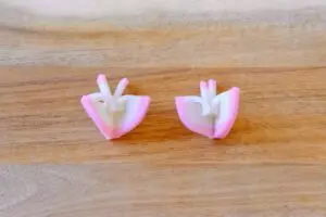 sirabee20241220kamaboco11