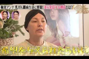 sirabee20241221abema1