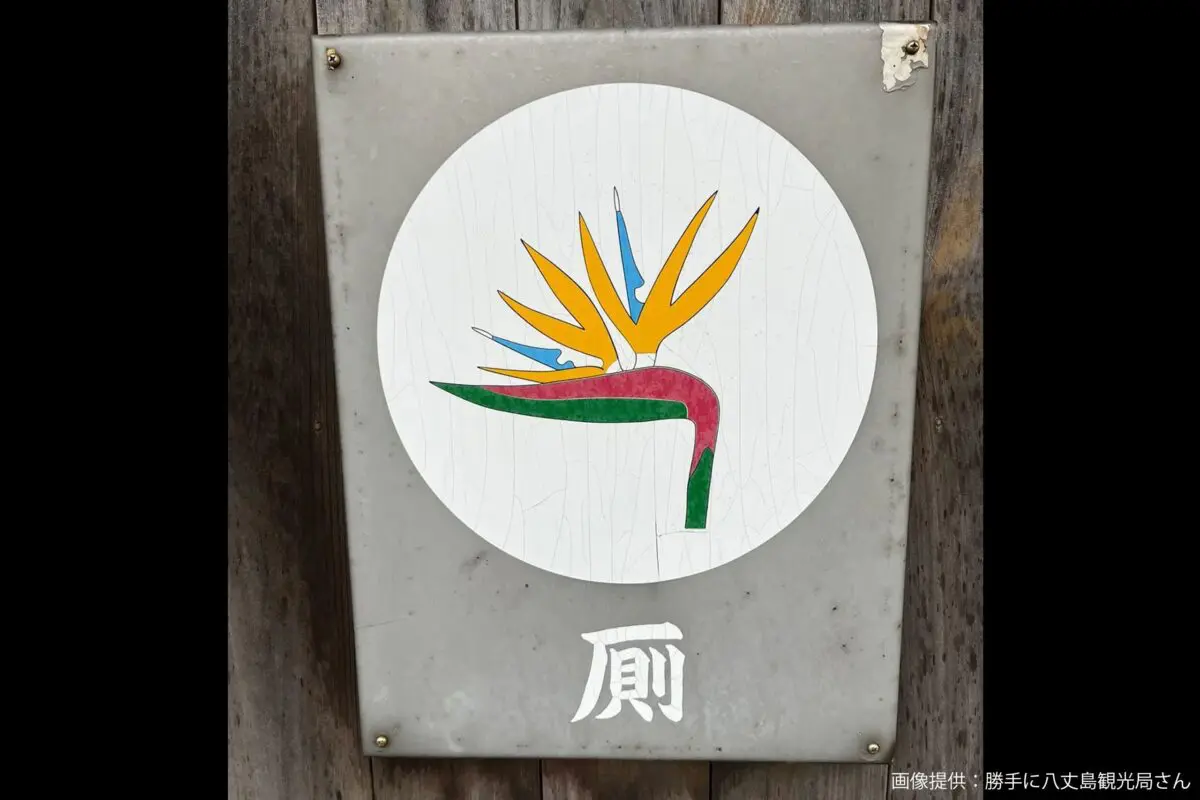 sirabee20241223hachijo2