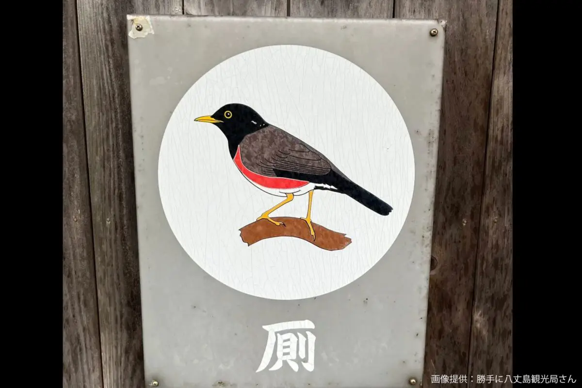 sirabee20241223hachijo3