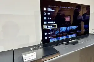 sirabee20241223zennzidou-diga13