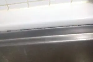 シンクの黒カビ、「やってはいけない掃除法」に注意　「胞子なんで飛び散っちゃう」