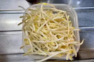 sirabee20241226moyashi6