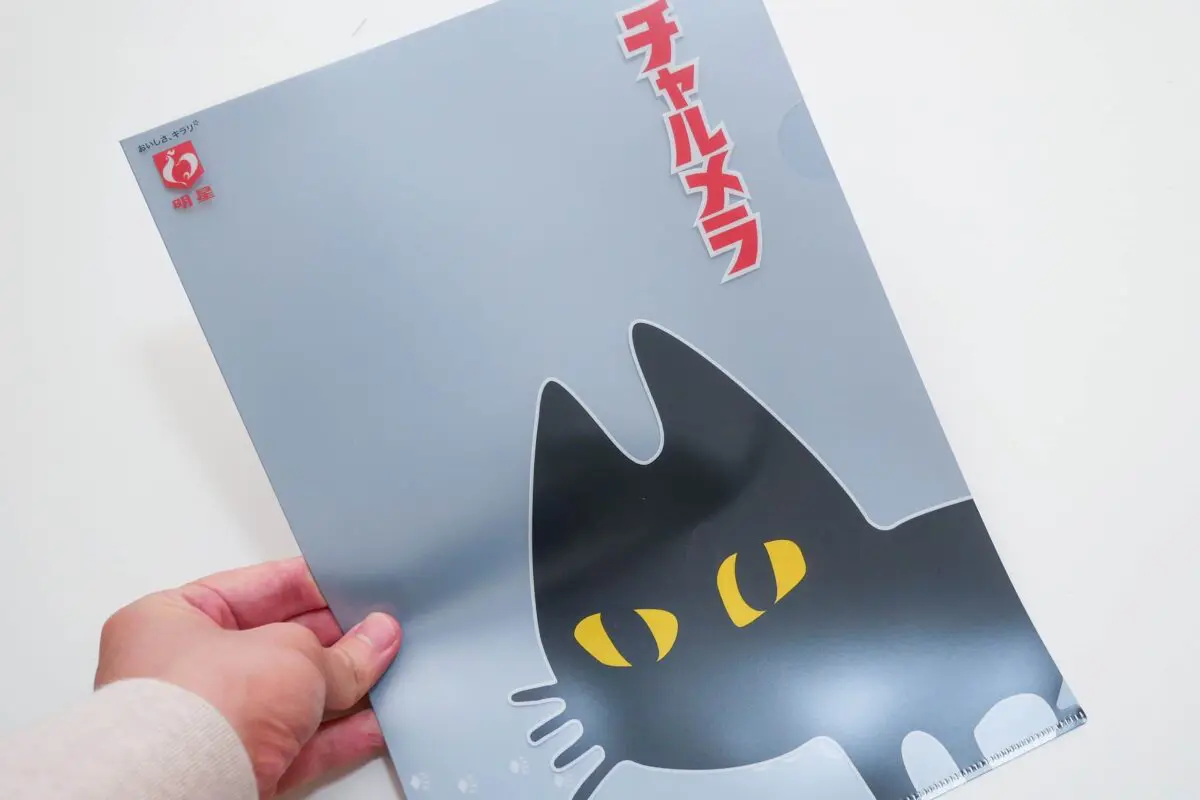 sirabee20241226myojo3