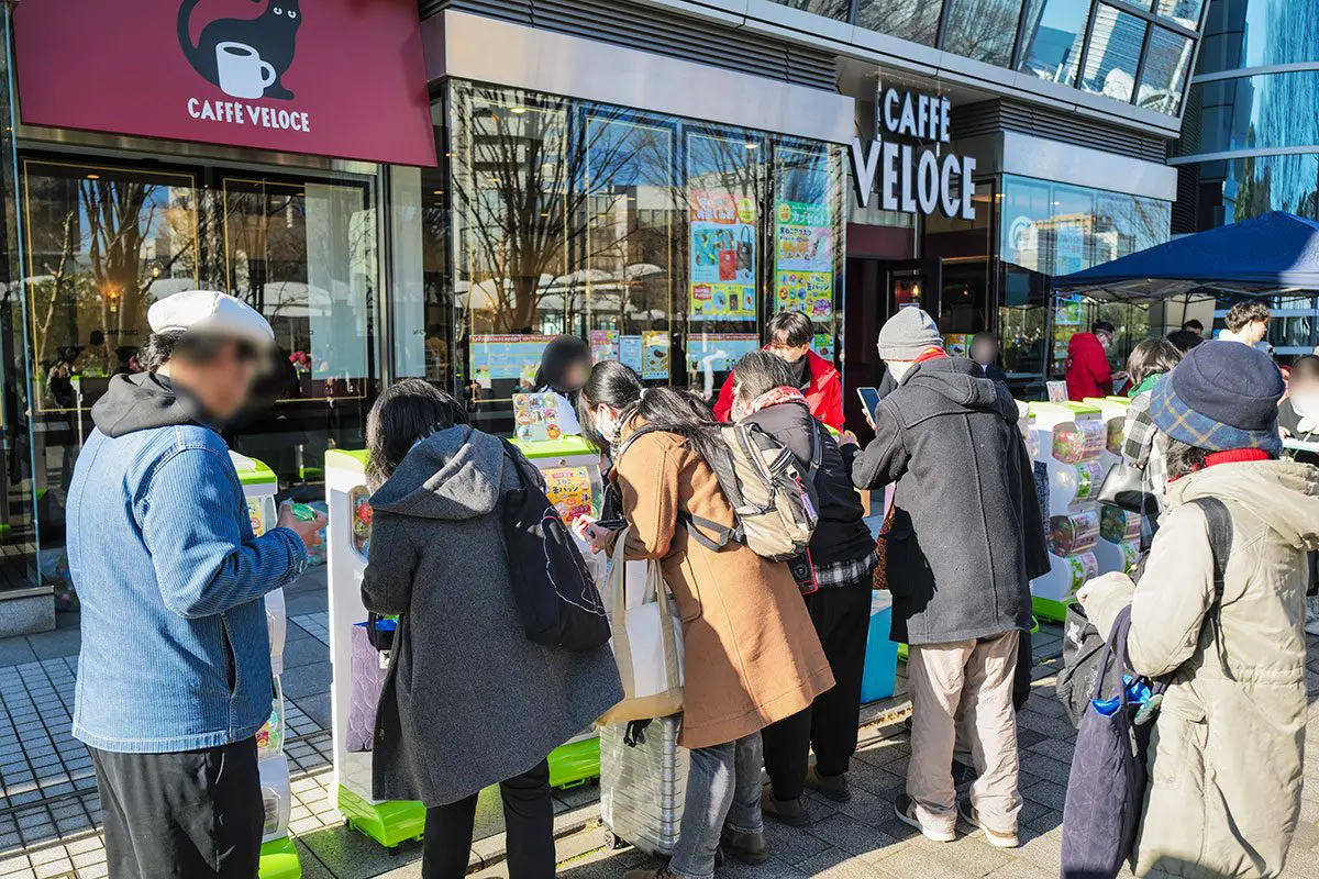 sirabee20241229cafeveloce527