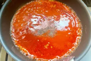 sirabee20241231udon2