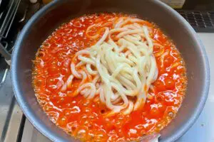 sirabee20241231udon3