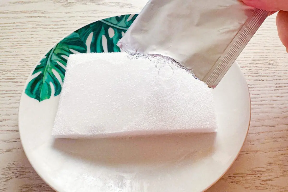 sirbee20241225senjozai3