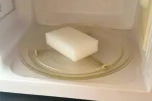 sirbee20241225senjozai4