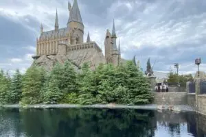 『ハリー・ポッター』ヴォルデモートの子供時代役の“正体”に反響 「まじか…」