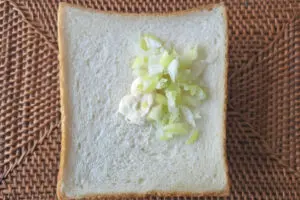 sirabee20240110negi2